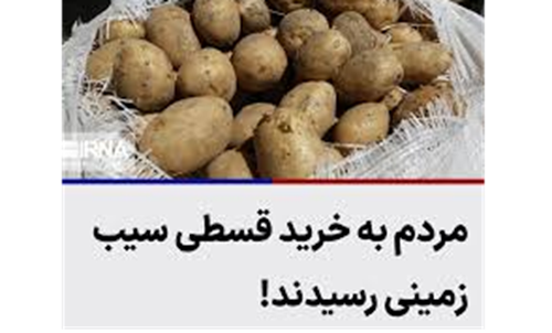 مردم به خرید قسطی سیب زمینی رسیدند!