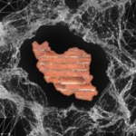 رسانه_های ایران_ قطع اینترنت و فیلترینگ «شلیک» به بازارها و معیشت ایرانیان است